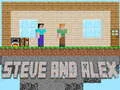 Igra Steve in Alex spletu