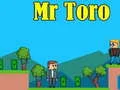 Igra Gospod Mr Toro spletu
