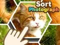 Igra Razvrsti fotografije spletu