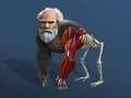 Igra Neaktivna Evolucija: Od Celice do Človeka spletu Igra Neaktivna Evolucija: Od Celice do Človeka spletu