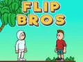 Igra Flip Brata spletu