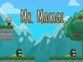 Igra Gospod Mr Macagi spletu