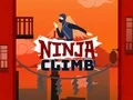 Igra Ninja Pleza spletu