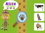 Igra Svet Alicejinih sledi spletu