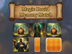 Igra Magic Druid: spominska tekma spletu