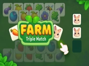 Igra Fermat: trojna tekma spletu