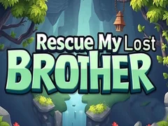 Igra Reši mojega izgubljenega brata spletu