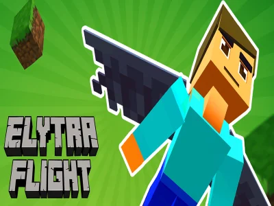 Igra Let Elytra spletu