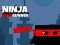 Igra Ninja Tekmovalec po Zidu spletu