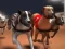 Igra Dirke greyhoundov spletu