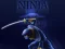 Igra Ninja Bežanje spletu