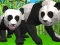 Igra Simulator pande 3D spletu