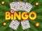 Igra Bingo spletu