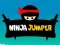 Igra Ninja Skakalen spletu