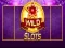 Igra Divji Slot spletu Igra Divji Slot spletu