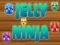 Igra Jelly Ninja spletu