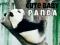 Igra Ljubka dojenčka panda spletu