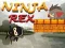Igra Ninja Rex spletu Igra Ninja Rex spletu