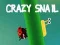 Igra Norčasta polž spletu