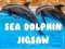 Igra Uganka Morski Delfin spletu