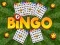 Igra Bingo Razkrit spletu