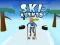 Igra Ski Rush 3D spletu