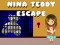 Igra Nina Teddy Pobeg spletu