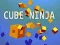 Igra Kockasti Nindža spletu
