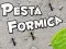 Igra Praznovanje Mravelj spletu