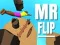 Igra Gospod Mr. Flip spletu