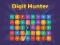 Igra Digit Hunter spletu
