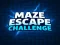 Igra Izziv Maze Escape spletu