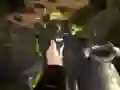 Igra Sila Namo spletu Igra Sila Namo spletu