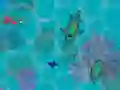 Igra Sharkz.io spletu