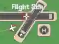 Igra Simulator Leta spletu