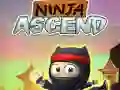 Igra Ninja Povišanje spletu Igra Ninja Povišanje spletu