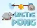 Igra Arktični Pong spletu Igra Arktični Pong spletu