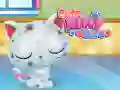 Igra Skrb za Cute Mačke spletu Igra Skrb za Cute Mačke spletu