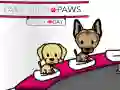 Igra Razvajane Paws: Pasji Dan spletu Igra Razvajane Paws: Pasji Dan spletu