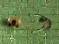 Igra Labirint Okužbe spletu Igra Labirint Okužbe spletu