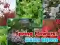 Igra Pomladno Cvetje: Skriti Predmeti spletu Igra Pomladno Cvetje: Skriti Predmeti spletu
