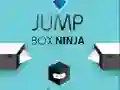 Igra Ninja Skakalna Škatla spletu Igra Ninja Skakalna Škatla spletu