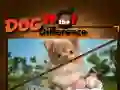 Igra Pes Najdi Razlike spletu