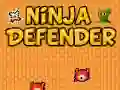 Igra Ninja Branilec spletu Igra Ninja Branilec spletu