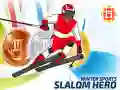 Igra Zimski Športi: Junak Slaloma spletu Igra Zimski Športi: Junak Slaloma spletu