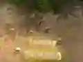 Igra Obrana stolpa spletu Igra Obrana stolpa spletu