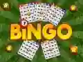 Igra Bingo spletu Igra Bingo spletu