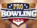 Igra Profesionalno bowling spletu