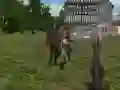 Igra Jackovo Selo spletu Igra Jackovo Selo spletu