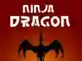 Igra Ninja Zmaj spletu Igra Ninja Zmaj spletu
